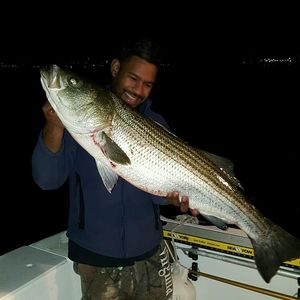 Meet your Posher, Jose